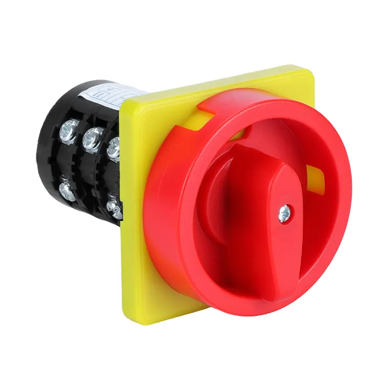 Interruptor giratório da came da combinação de duas posições do cadeado 20A