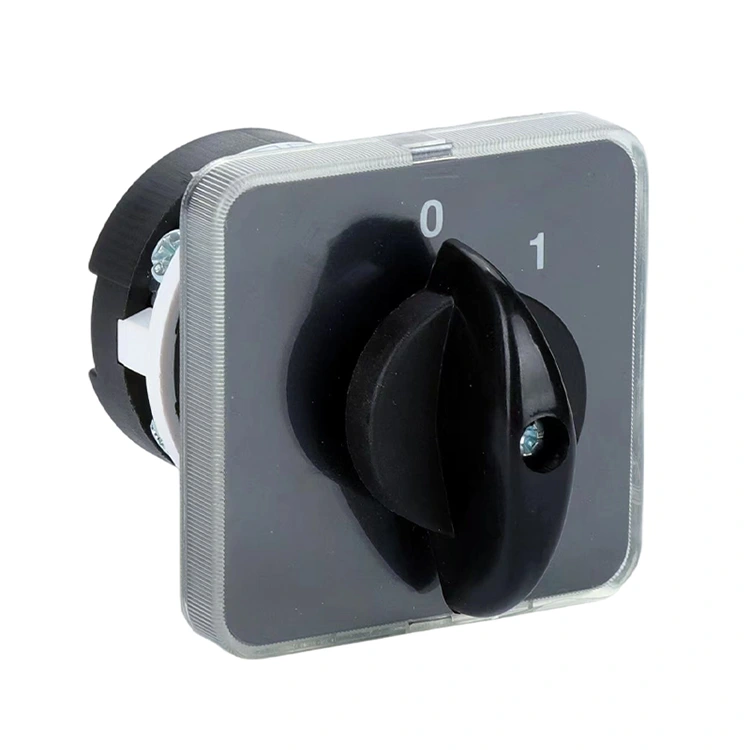 LW31 20A OFF-ON Combinação de interruptor de came rotativo de duas posições